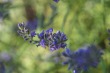 DSC_5068_1920
