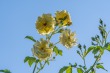DSC_5091_1920