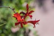 DSC_5125_1920