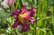 DSC_5127_1920