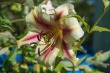 DSC_5134_1920