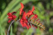 DSC_5140_1920