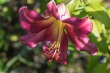 DSC_5158_1920