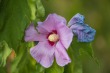 DSC_5194_1920