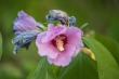 DSC_5198_1920