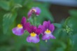 DSC_5224_1920