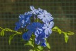 DSC_5460_1920