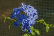 DSC_5462_1920