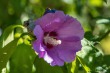 DSC_5466_1920