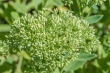 DSC_5477_1920