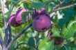 DSC_5482_1920