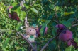 DSC_5484_1920