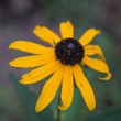 DSC_5235_1920