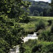 Pastorale Idylle bei Oberlauchringen