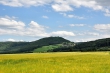Kornfelder bei Oberlauchringen Nr. 4