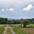 Feldkreuz bei Oberlauchringen