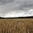 Schweres Wetter Ende Juni 2014 Nr. 2