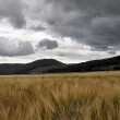 Schweres Wetter Ende Juni 2014 Nr. 3