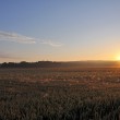 Sonnenaufgang am 1. Juli 2014