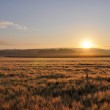 Sonnenaufgang am 1. Juli 2014