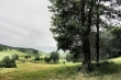 Pastorale Junilandschaft