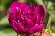 DSC_1619_1920