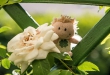 DSC_1657_crop1920