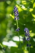 DSC_1814_1920