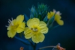 DSC_1909_1920