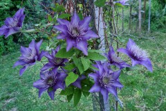 Sommerfotos2021