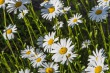 DSC_6946_1920