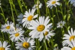 DSC_6947_1920