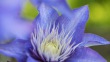 DSC_6954_1920