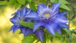 DSC_6961_1920