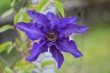 DSC_6966_1920