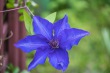 DSC_6974_1920