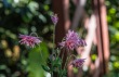 DSC_6982_crop_1920