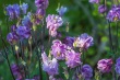 DSC_6985_1920