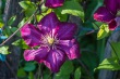 DSC_6992_1920