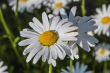DSC_6998_1920