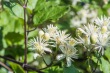 DSC_7029_1920
