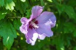 DSC_7035_1920