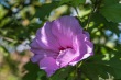 DSC_7037_1920