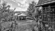 grayscalegardenin2021_1920
