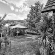 grayscalegardenin2021_1920