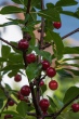 DSC_7508_1920