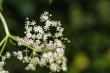 DSC_7522_1920