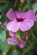 DSC_7536_1920