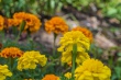 DSC_7579_1920