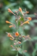 DSC_3241_1920
